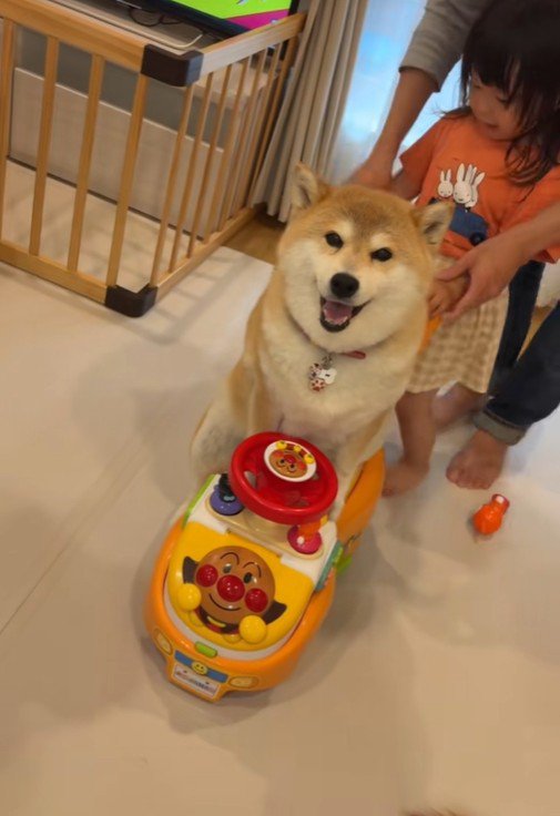 ポポちゃんとの思い出4