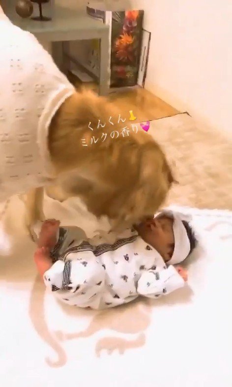 くららちゃんと赤ちゃん2