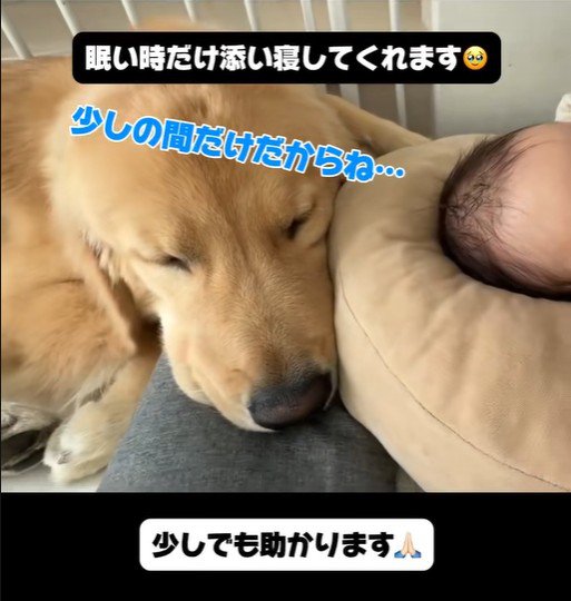 子育て中の家族とこてつ君の日常4