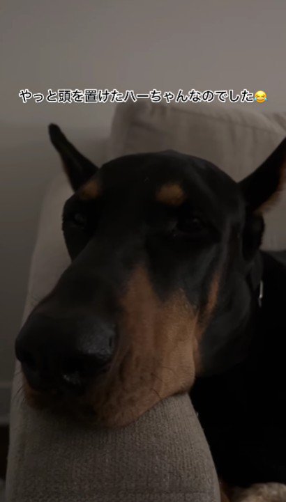 やっと寝られる～