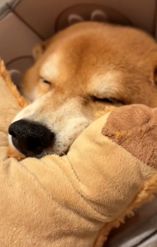 目をつぶっている長三郎くん