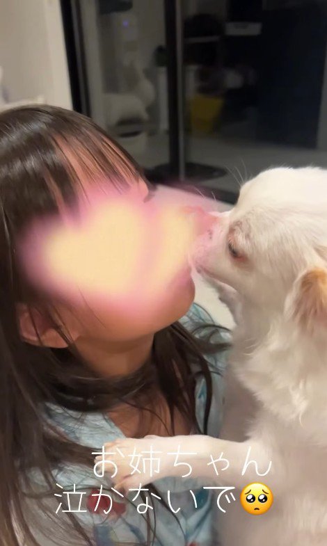 お姉ちゃんを慰めるニコちゃん