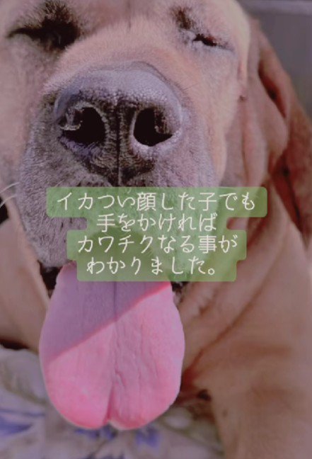 こんなに幸せな表情に！！