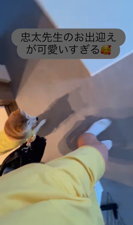 忠太くんの熱烈歓迎9