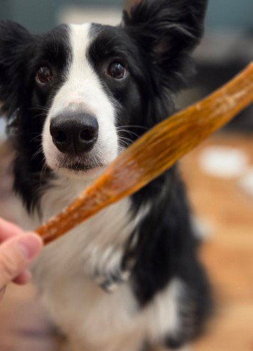 なんて可愛いサポーター…♡