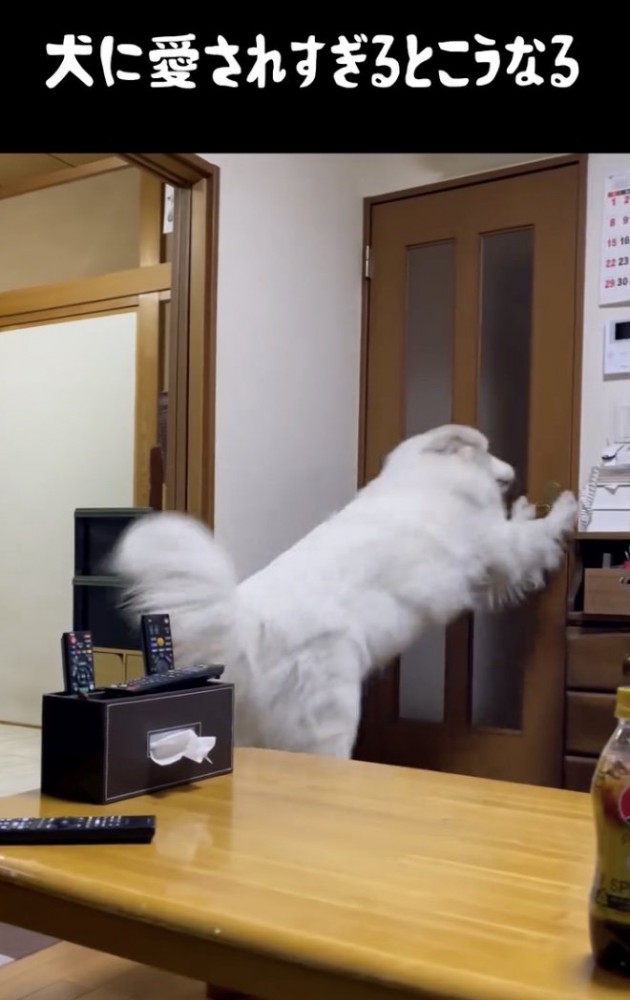 「置いてかないでぇぇ」