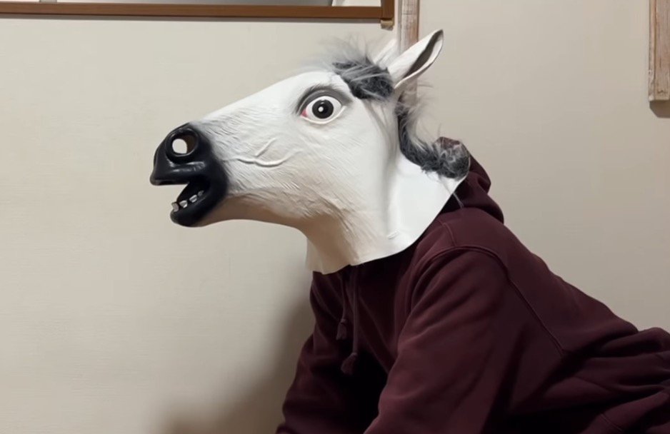 馬の被り物をして犬を見つめる飼い主