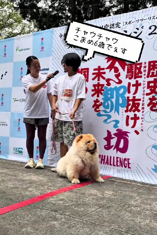 379段の階段レースに参加！！