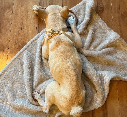 今までの苦労が伺える姿に…