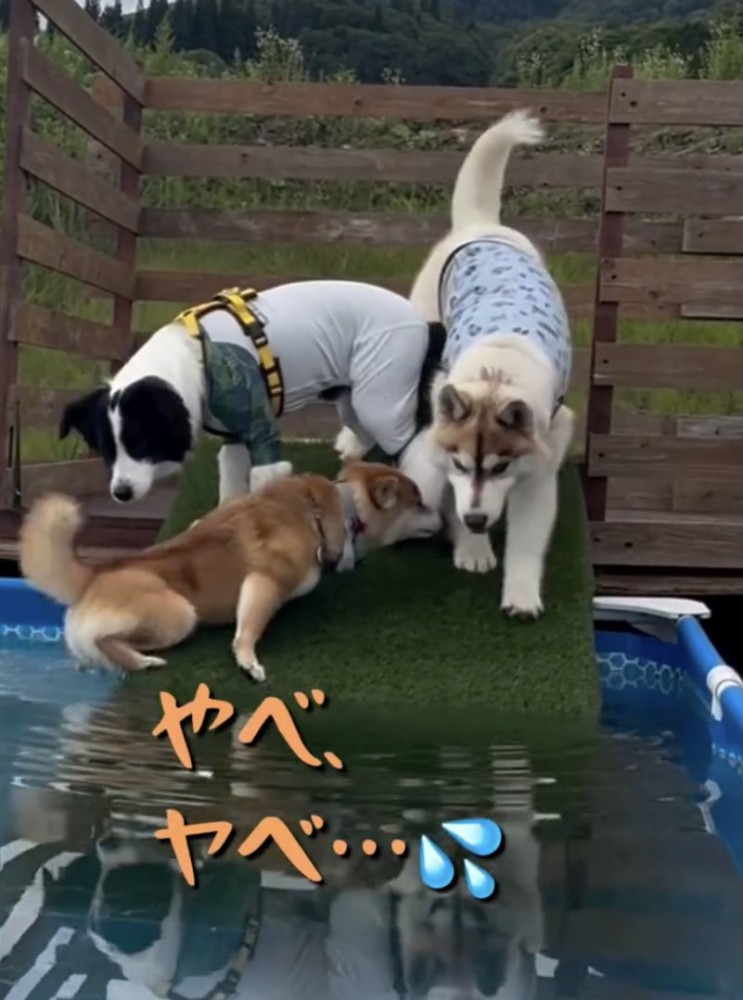 「落ちたくないぃ」