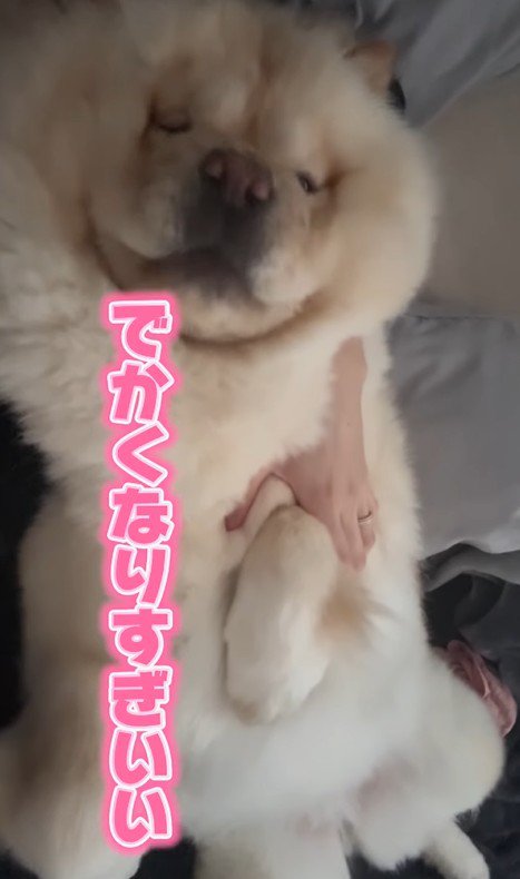 小梅ちゃんの成長5