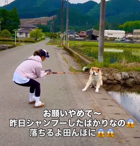お母さんも大奮闘！！