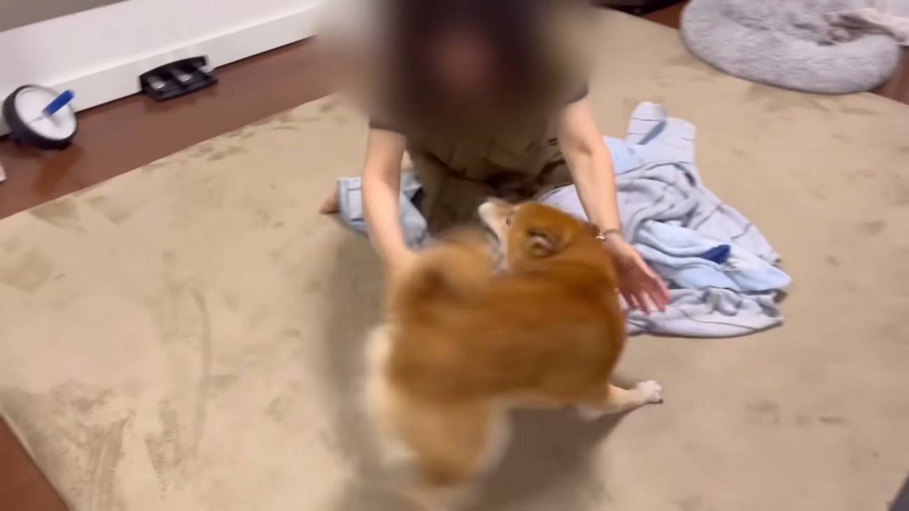 「やっと会えたー♪」と大はしゃぎ