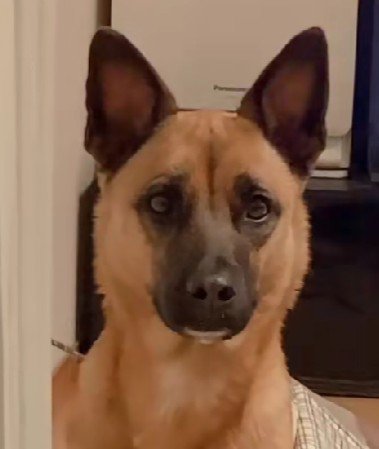 目力と佇まいが印象的♡