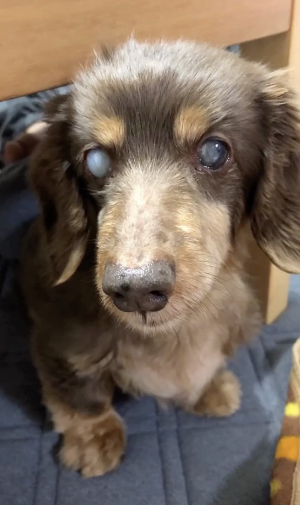 不安いっぱい…