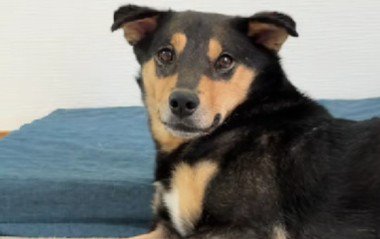 これからも幸せにね！