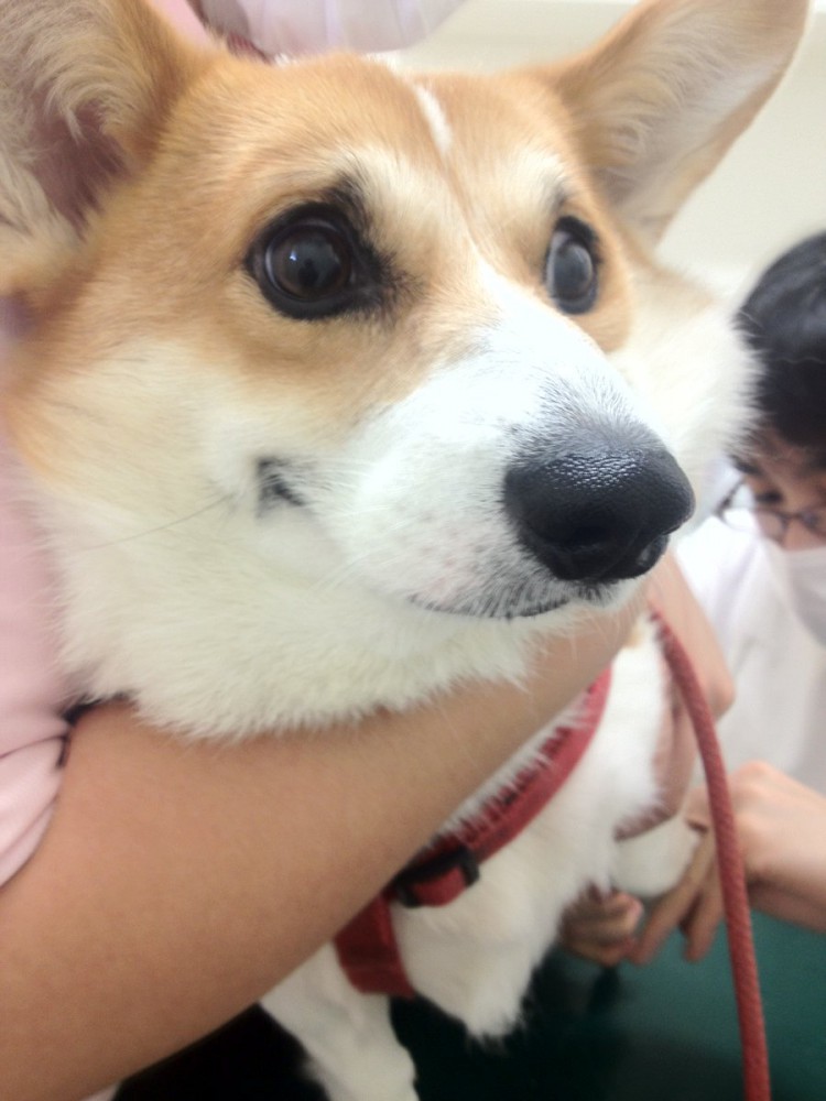 初めてのワクチン接種