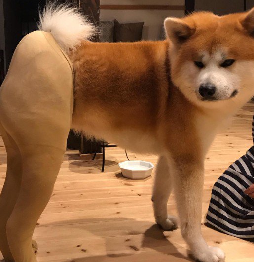 あまりに美脚…！！