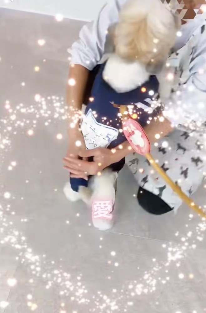 愛情いっぱい胸いっぱい