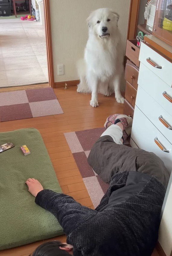 パパを置き去りに…