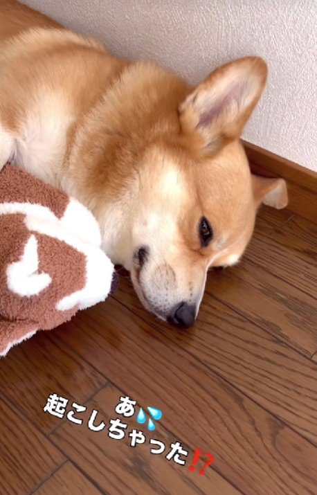 起こしちゃったかな？