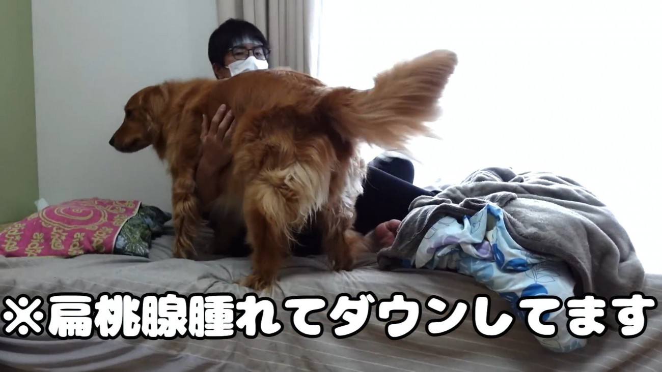 体調不良時のよもぎちゃん＆だいず君の対応2