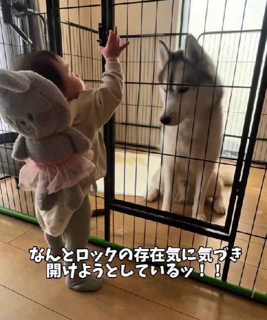 「今開けるからね！」