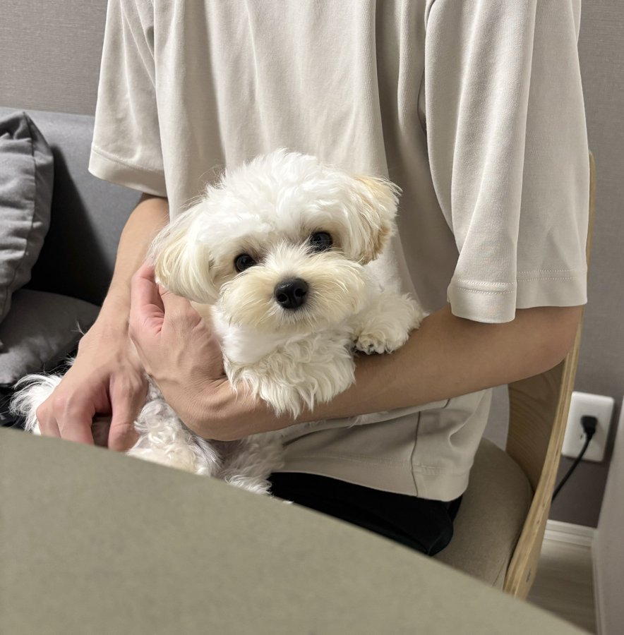 特等席