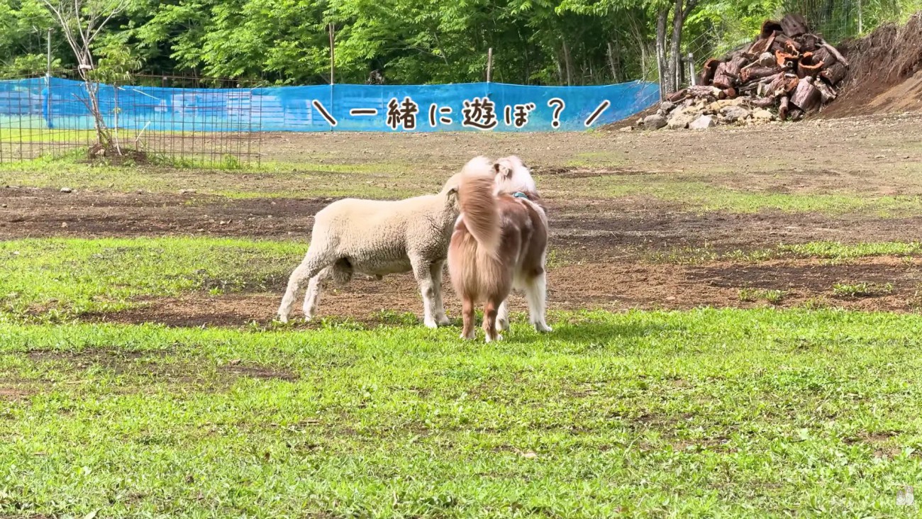 「友達になろう！！」