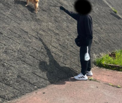 散歩中