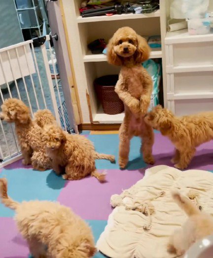 「そこにおったんか！」