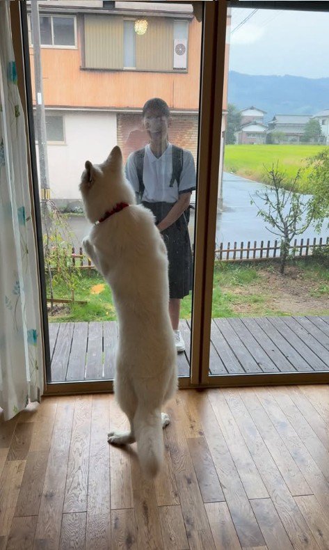 お姉ちゃんを引き止めたいまる君