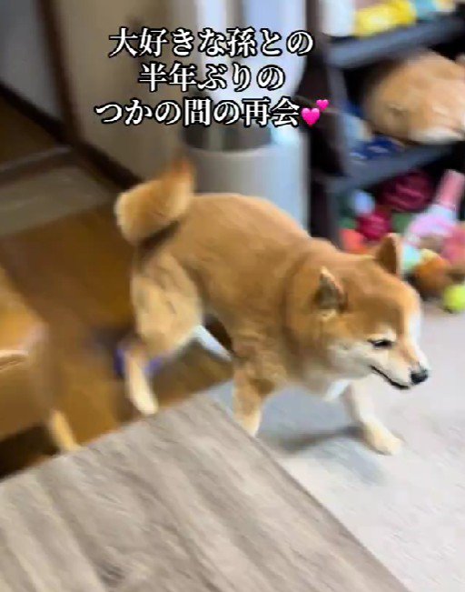 スイッチが一気にオン