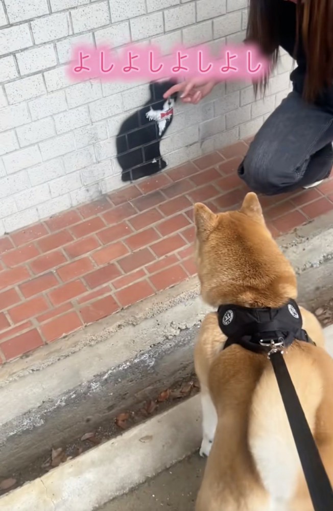「猫さんだ！」
