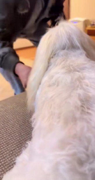 550日ぶりの再会