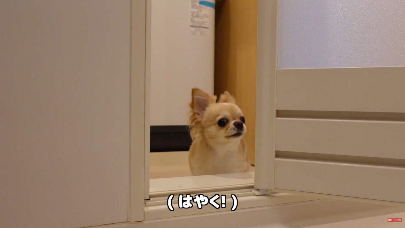 文句を言う姿も可愛い