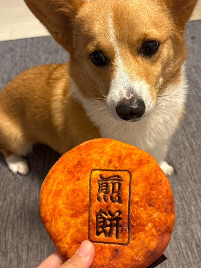おもちゃを前にすると…