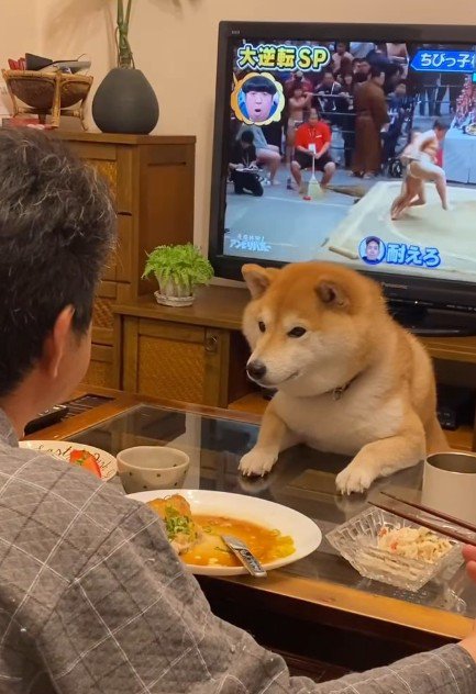 食事の見守りが日課