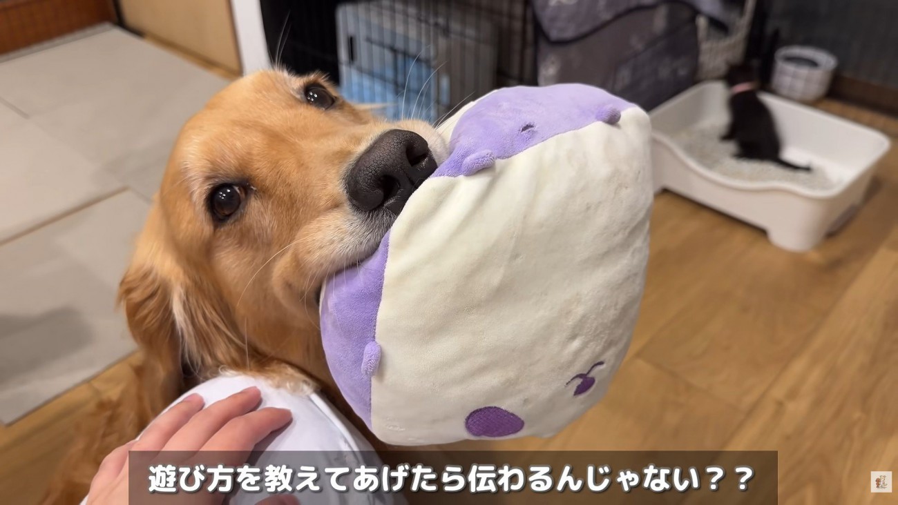 「どうやったら仲良くなれる？」