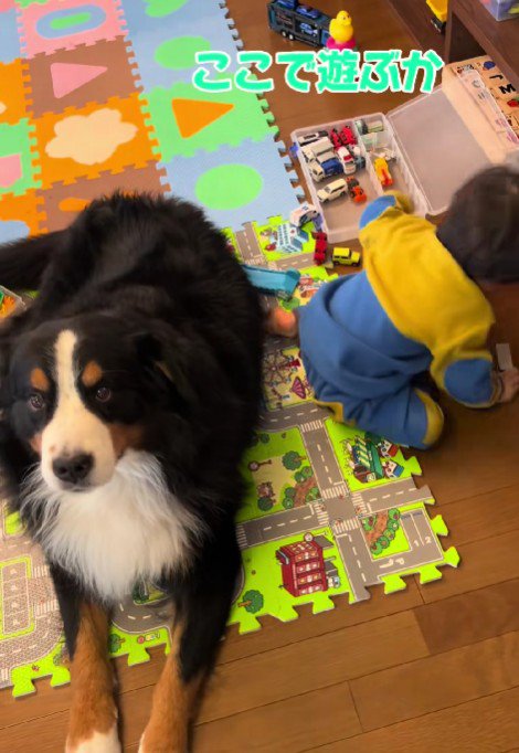 喧嘩にならないね♡