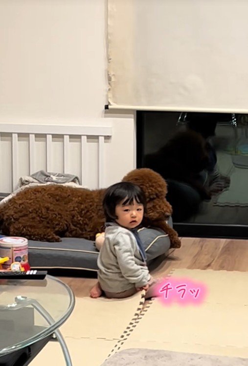 きんとん君VS男の子7