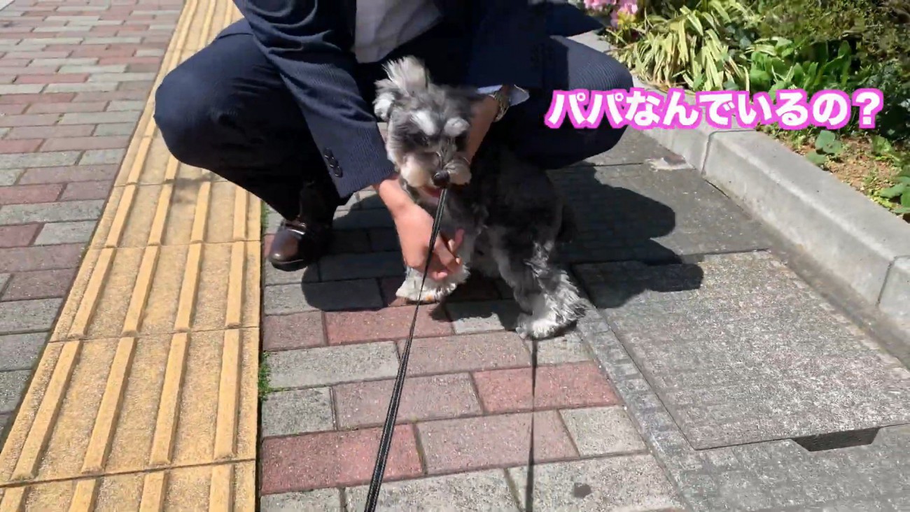 思った以上に大喜び♪