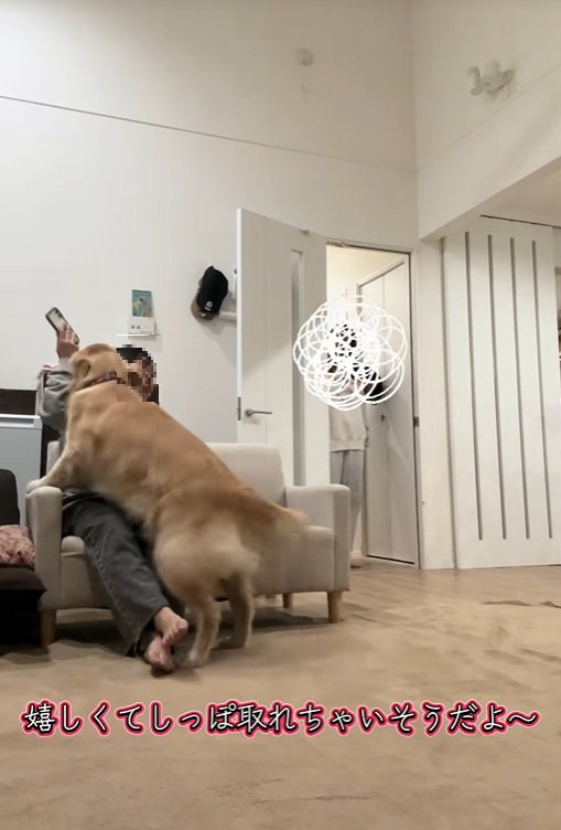 ハナコちゃんとお姉ちゃんの再会7