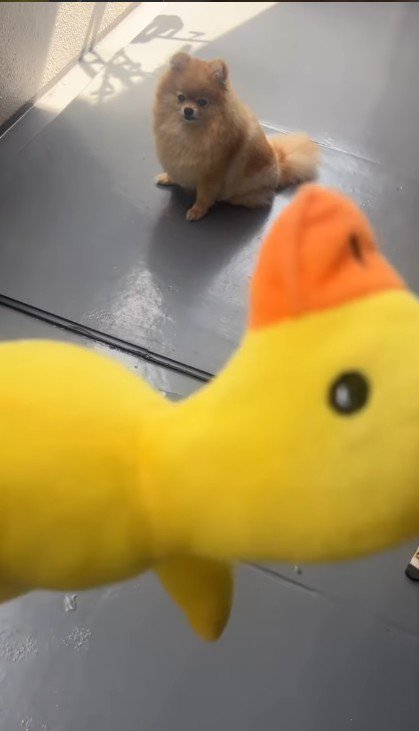 やっと乾いた！！