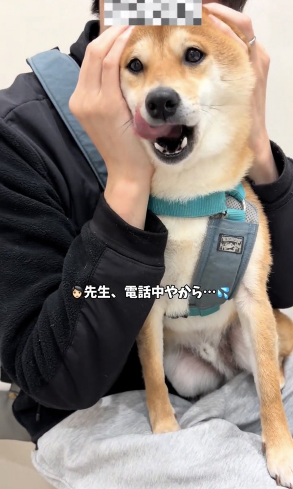 舌を出して口元をなめる犬