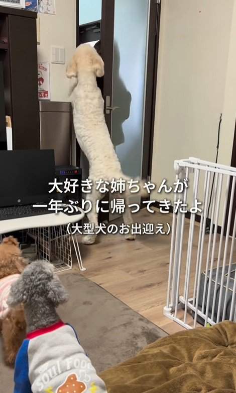 ソラちゃんの熱烈歓迎2