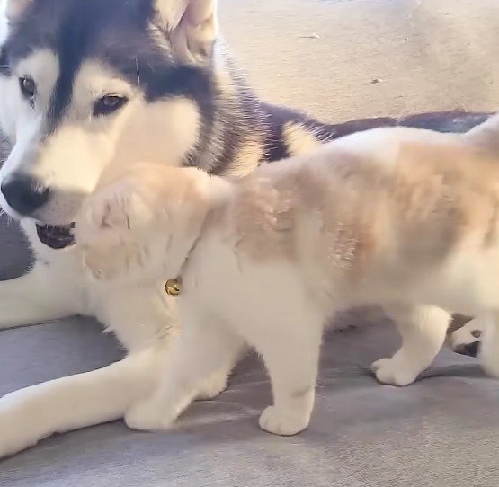 テクテク戻ってきて…