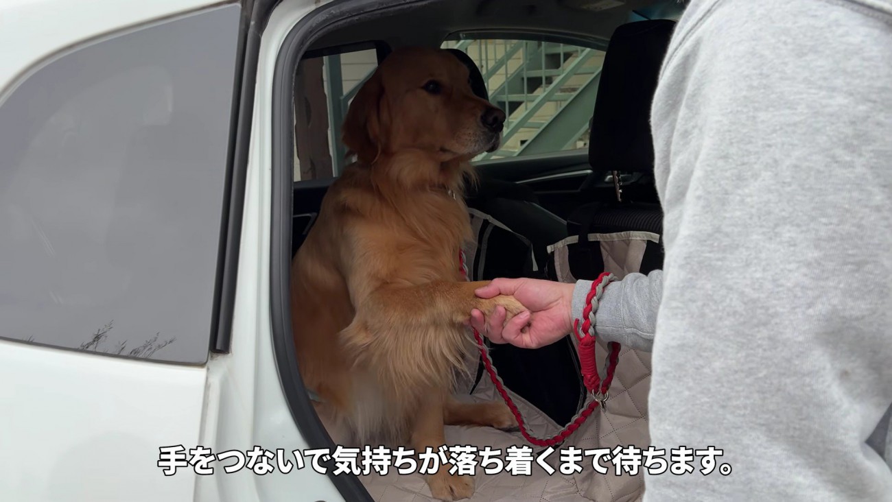 「お願いだから帰ろう？」
