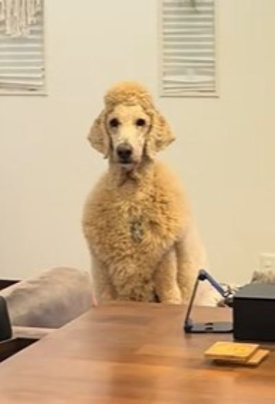 ヘアスタイルが個性的！