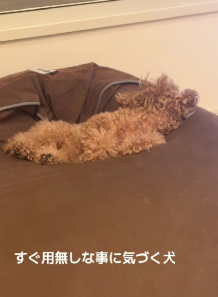 名前を呼んでみると…